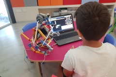 Programming the Dinosaur!!