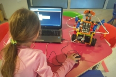Humanoid Robot
